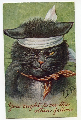 Thiel cat you - cat, "you